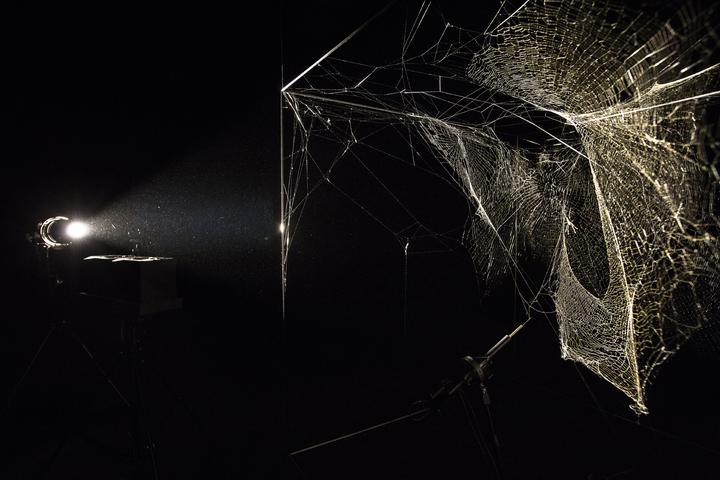 Cómo atrapar el universo en una tela de araña tela de araña siendo iluminada de forma directa para una mejor observación