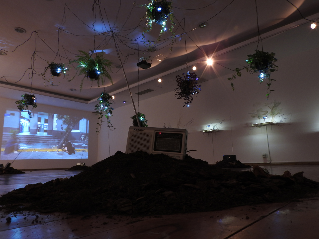 Foto de la instalación en el museo de Rizosfera FM Instalación en la sede Muntref l