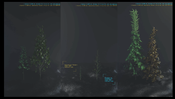 A tale of two seeds. Atractor. 2023 registro de la instalacion sonora
